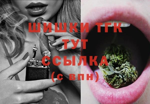 индика Надым