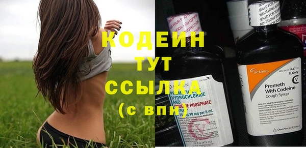 стаф Нея
