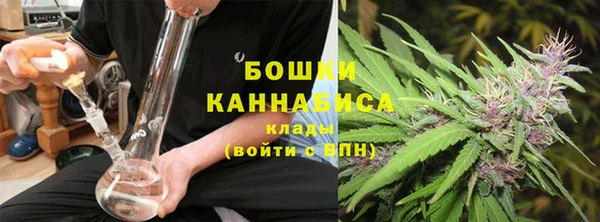 стаф Нея