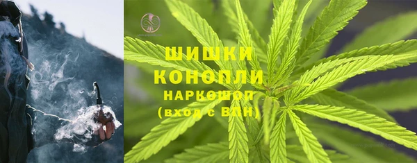 стаф Нея