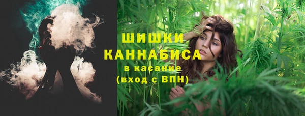 индика Надым