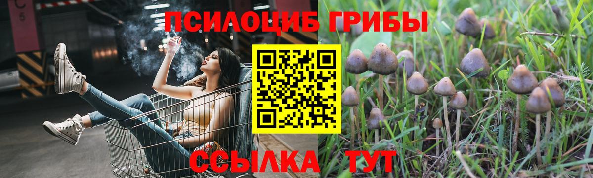 где можно купить наркотик  Псилоцибиновые грибы мухоморы  Мыски  Вход с VPN  Галлюциногенные грибы Psilocybe 